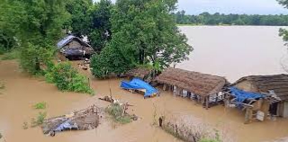 बाढीले कञ्चनपुरमा १६ सय बढी प्रभावित, अधिकांश जमिन डुबानमा